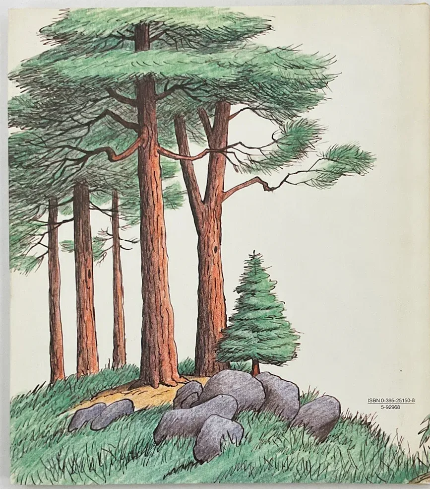 Back Cover (First Edition) cover of Big Bad Bruce