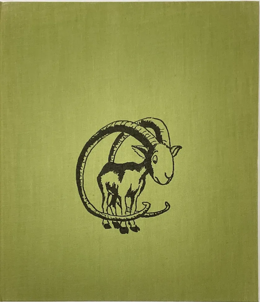 First Edition (cloth board) cover of Buford the Little Bighorn