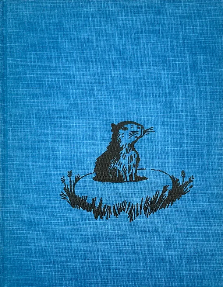First Edition (cloth board) cover of Capyboppy