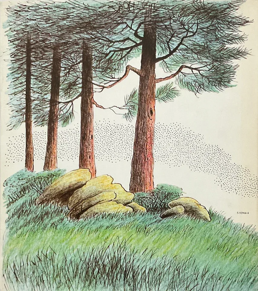 Back Cover (First Edition) cover of The Gnats of Knotty Pine