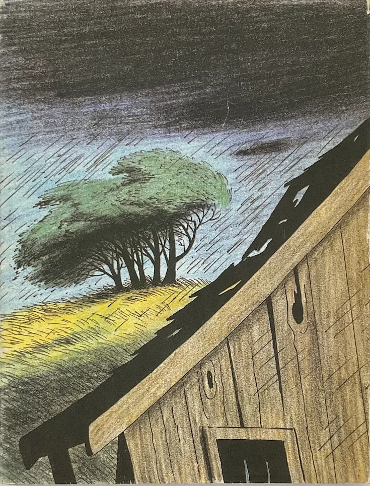 Back Cover (First Edition) cover of Fly Homer Fly