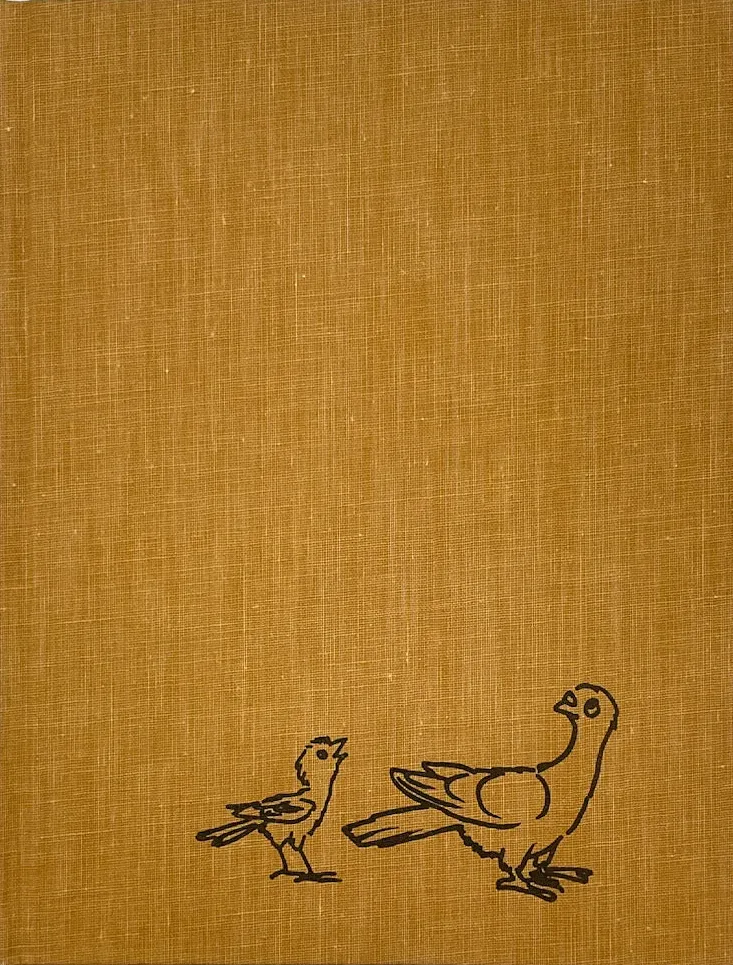 First Edition (cloth board) cover of Fly Homer Fly