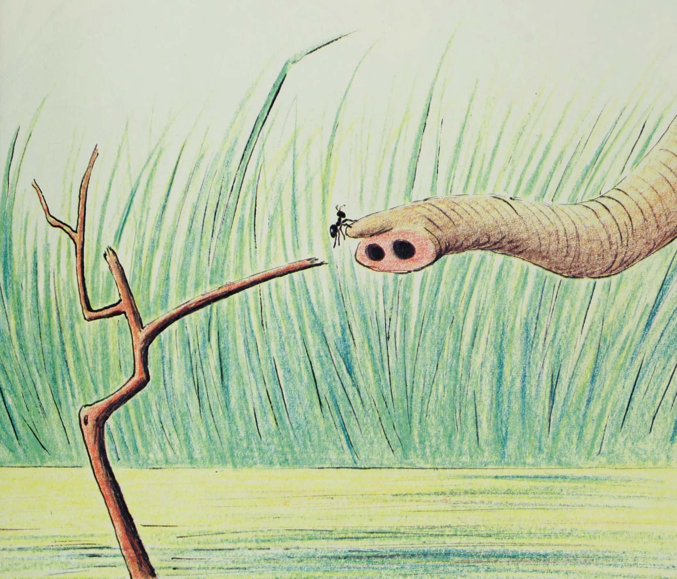 The elephant reaches out his trunk to save the ant