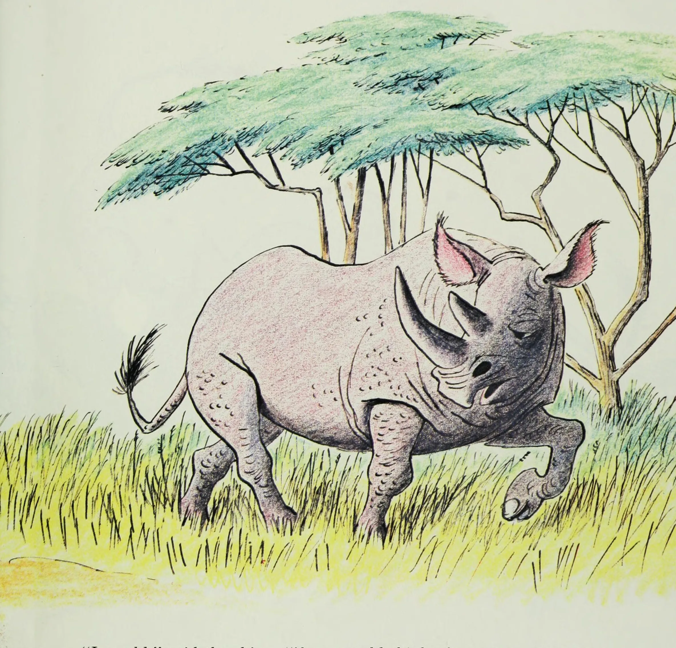 The rhino lumbers off through the trees