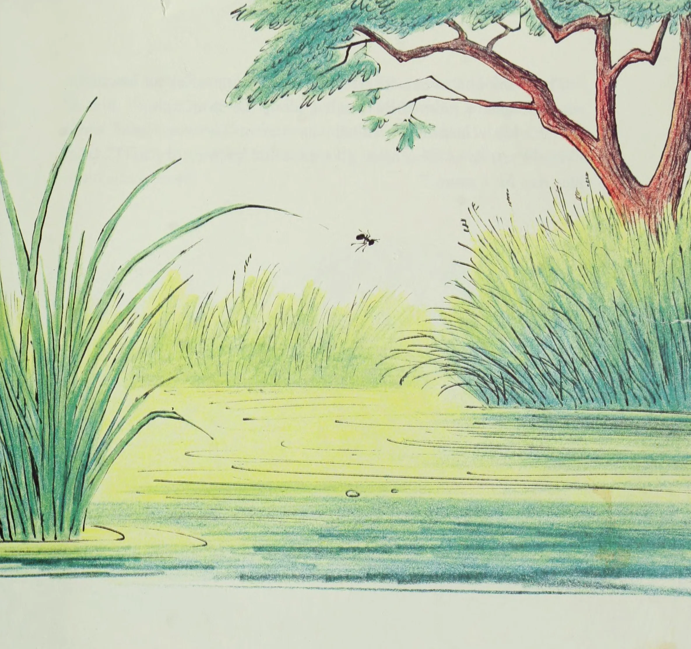 The tiny ant is swept into the swirling river