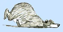 Baloo sliding, story sketch by Bill Peet, c.1963