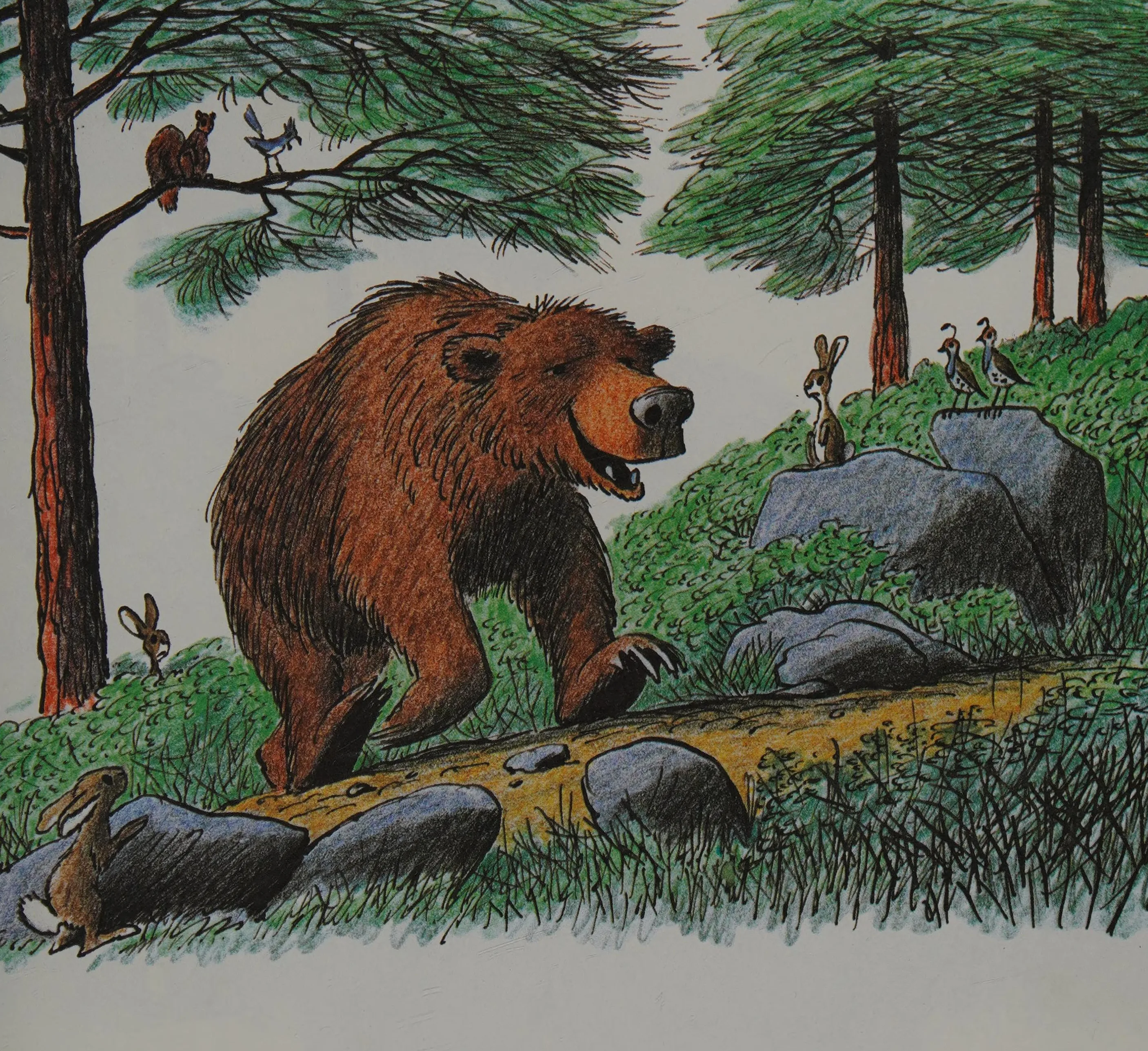 Big Bad Bruce wanders into Forevergreen Forest