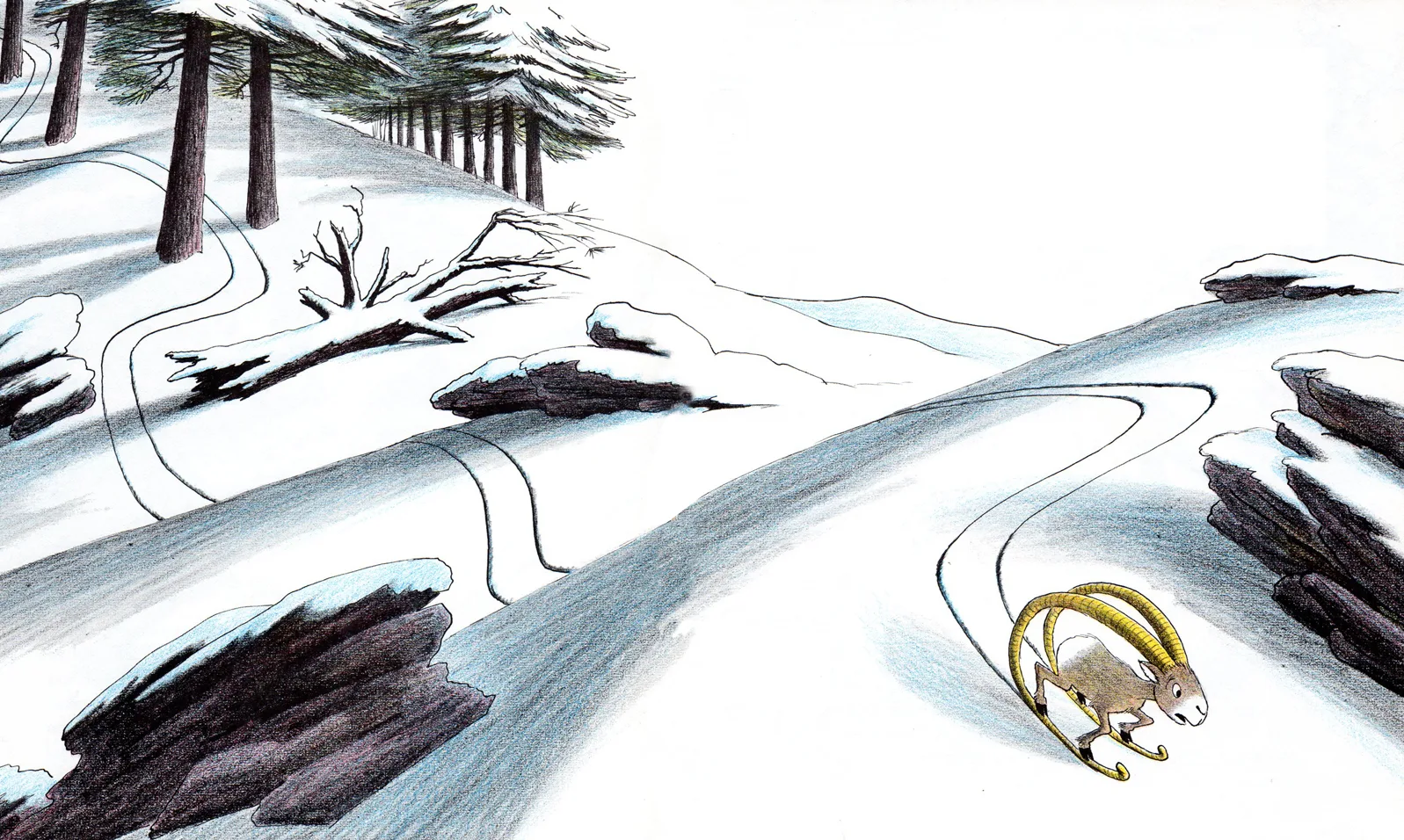 Buford skis down the snowy slope on his enormous horns