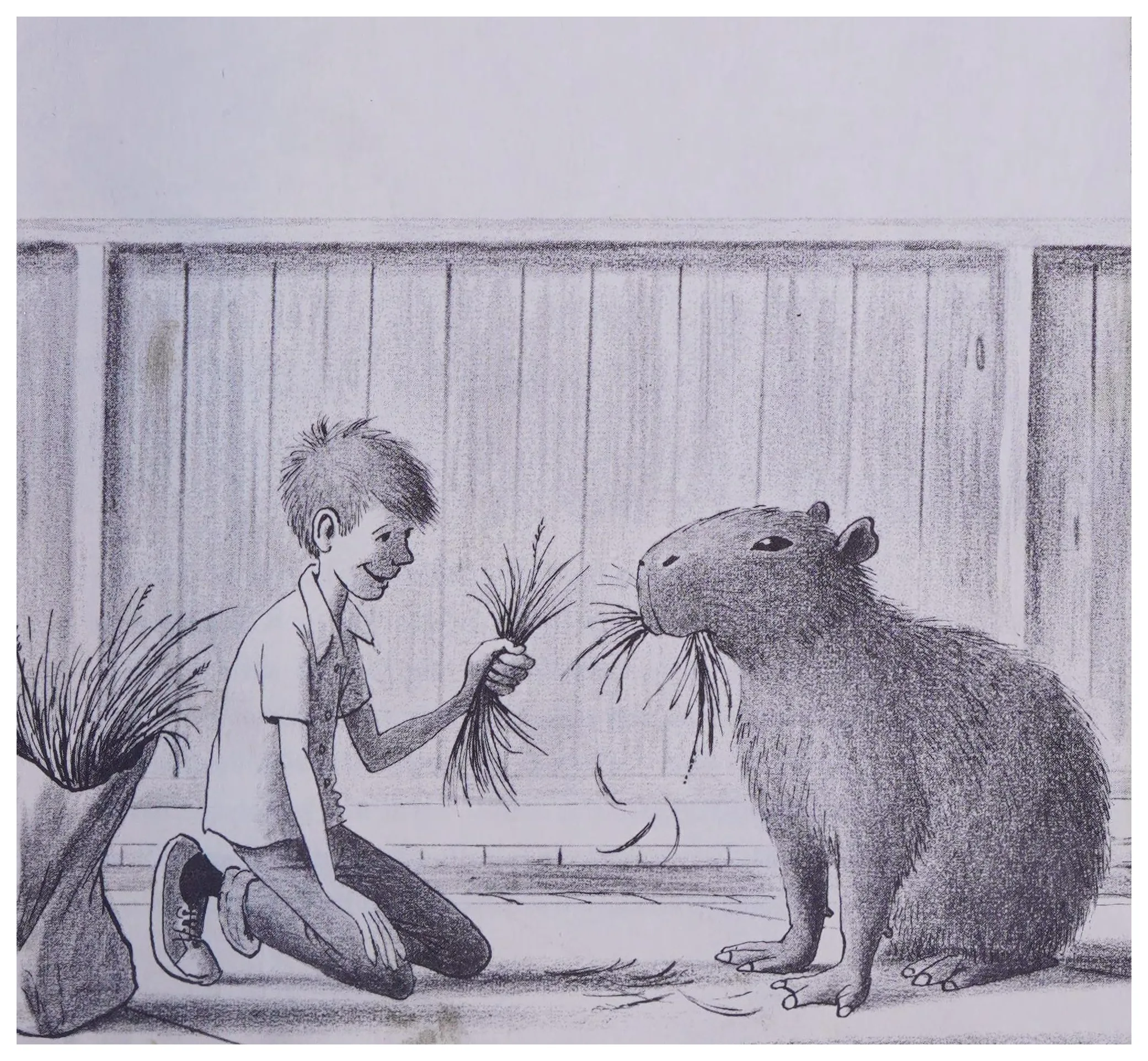 Young Tommy feeds Capy a sackful of grass