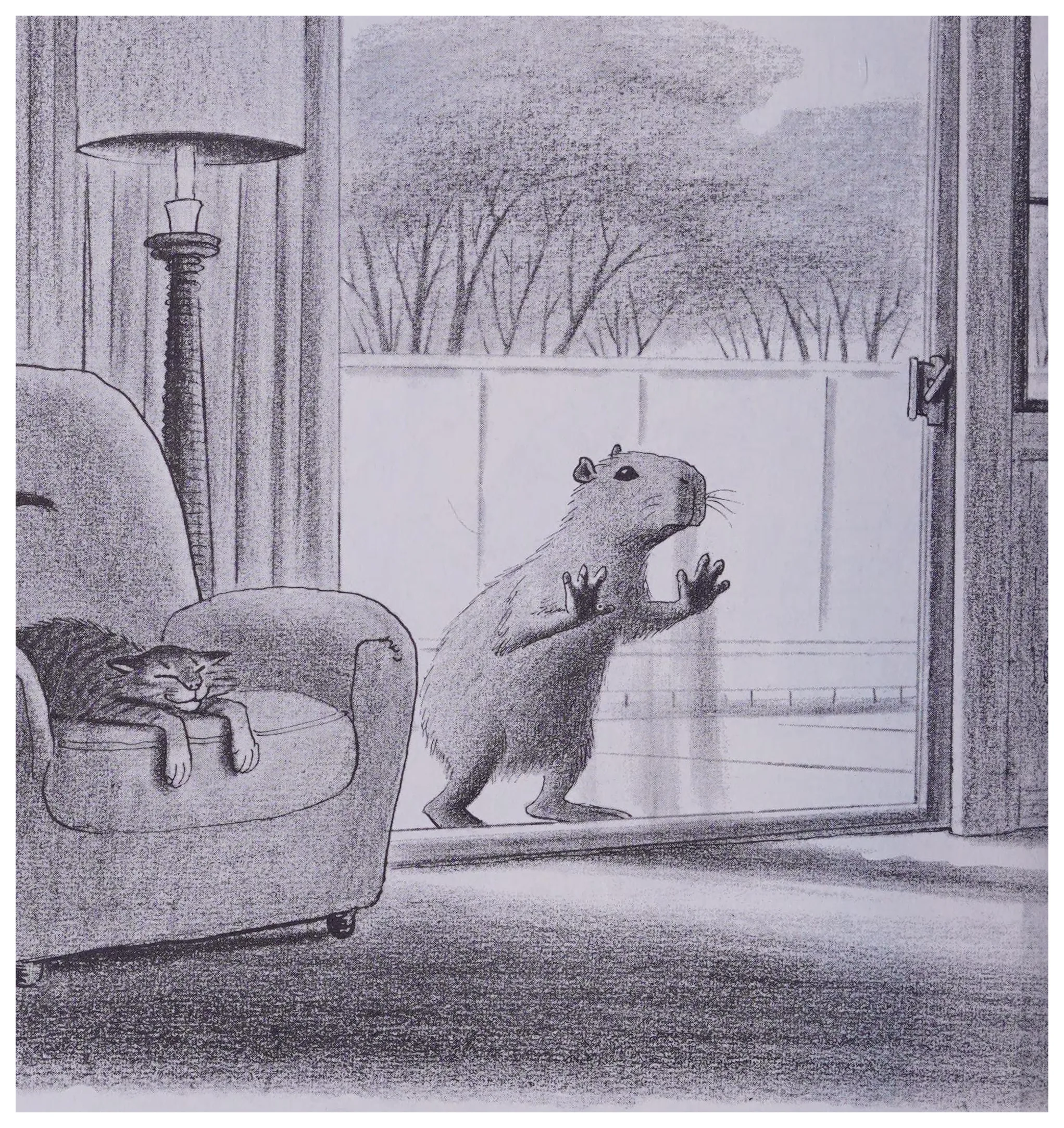 Capy at the glass door, a cat asleep nearby