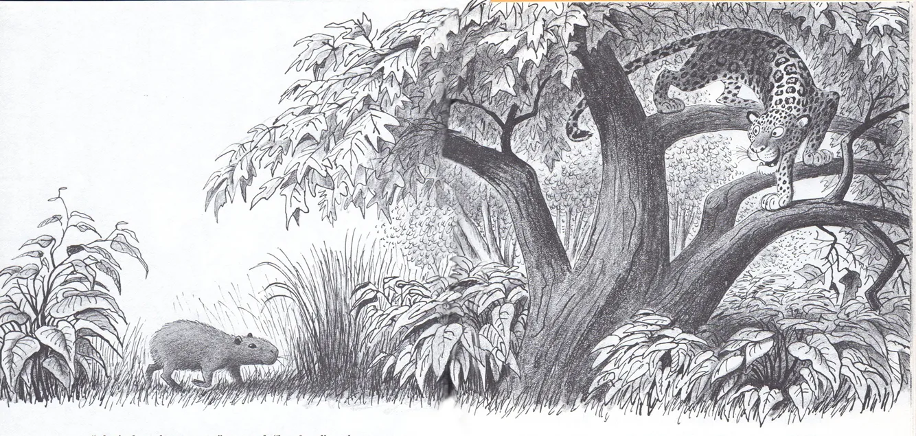 A capybara crosses the jungle as a jaguar watches from above