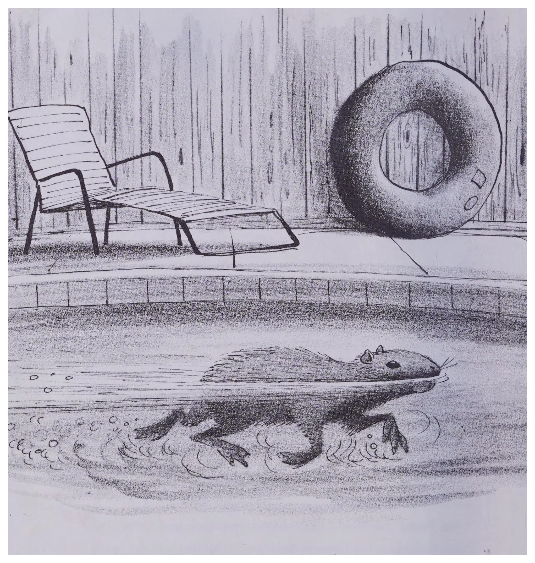 Capy glides across the swimming pool