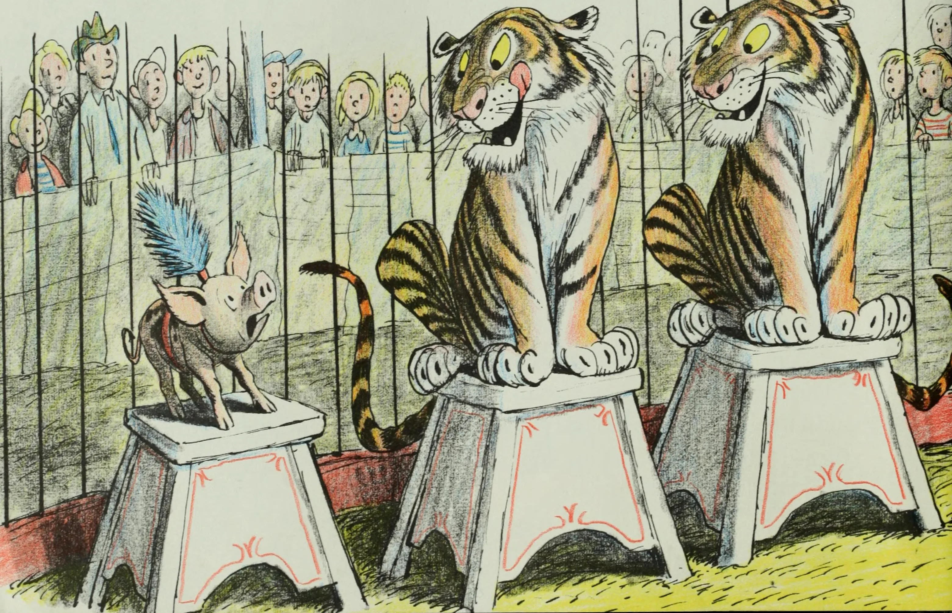 Chester in the big cage with the tigers