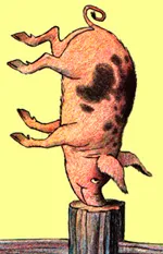Chester the Worldly Pig: finished illustration
