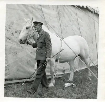 A circus horse handler, photographed by Bill Peet