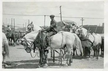 A circus horse and rider, photographed by Bill Peet
