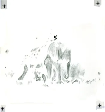 The blue printing plate from one of Bill Peet's color separations