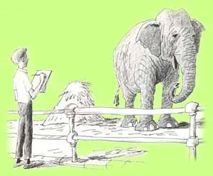 A study of an elephant by Bill Peet, the kind of drawing that fed his Dumbo work
