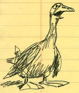 Gunther the goose: illustration