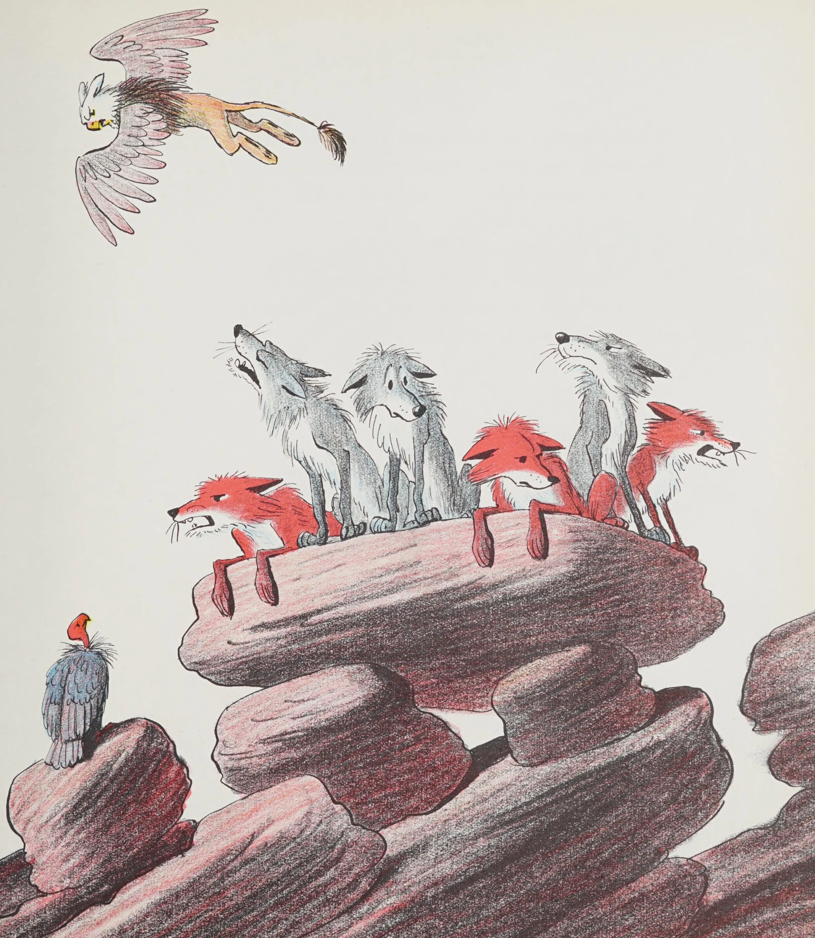 The foxes and wolves gather on the rocks
