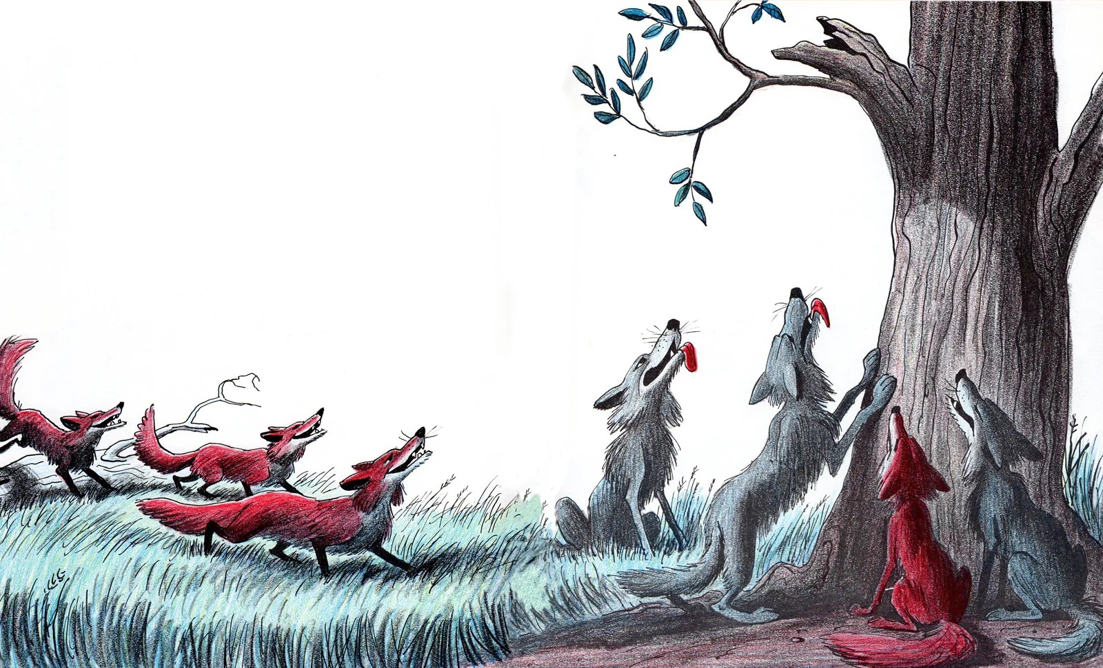 Foxes scatter as the pack howls beneath the tree