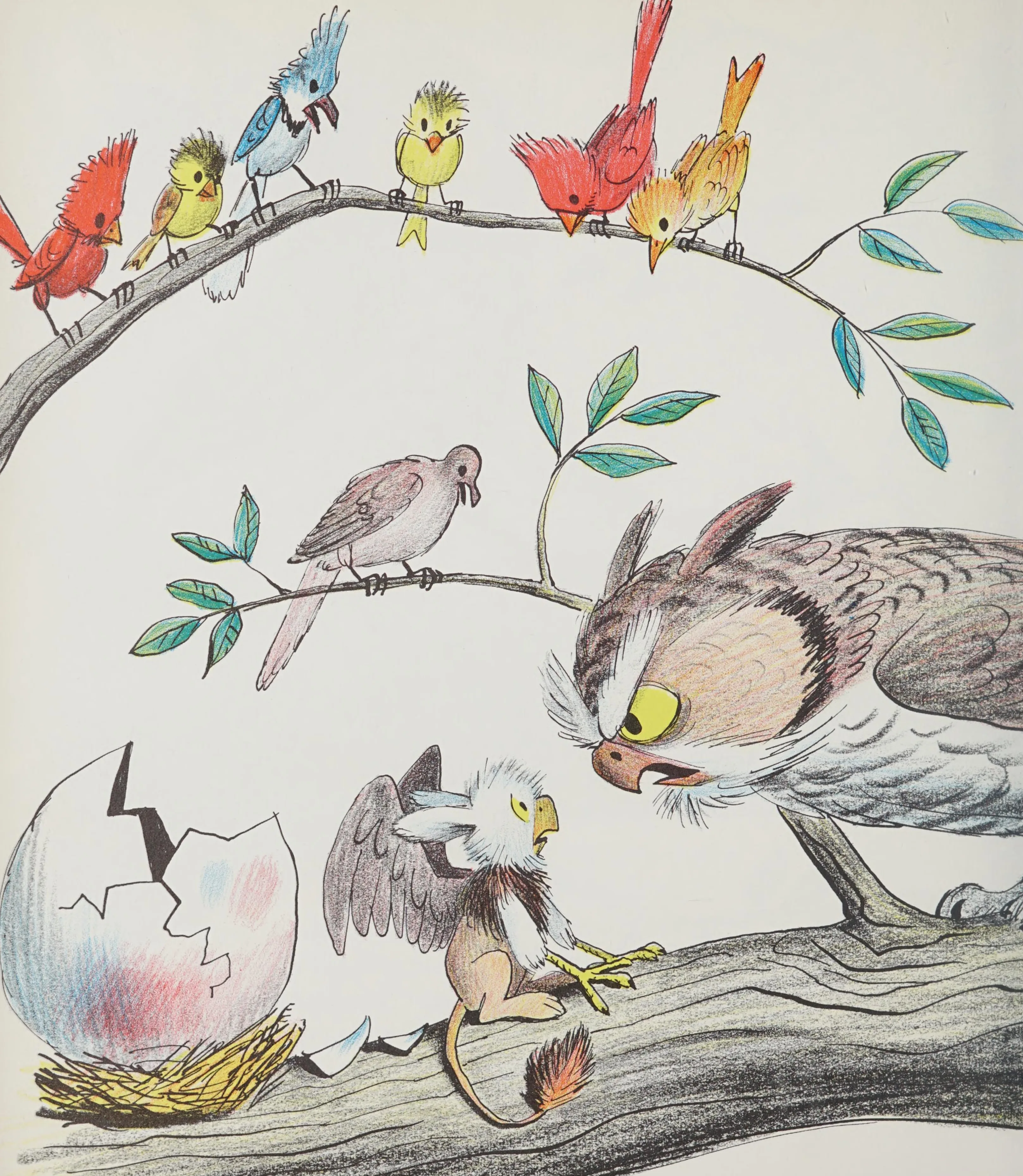 The wise old owl and the newly hatched Zeke