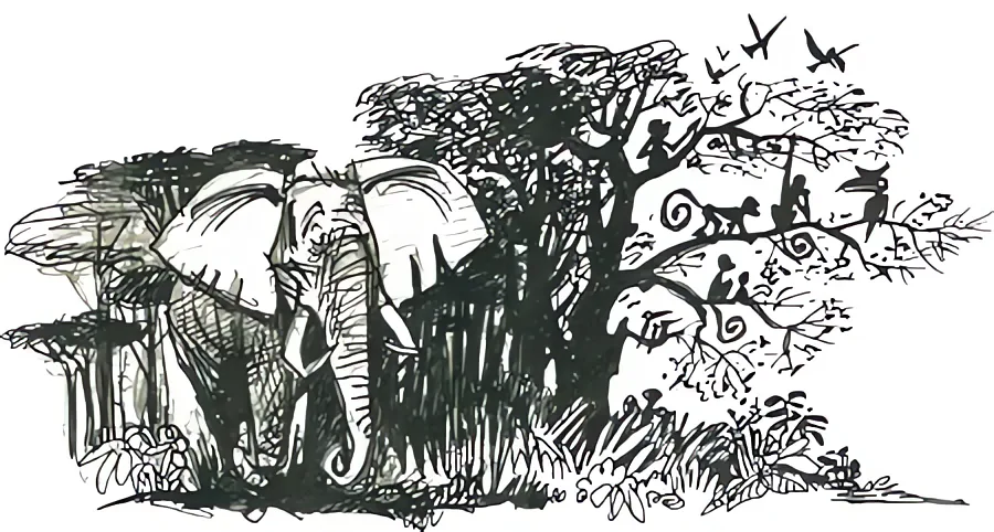 Elephant in the jungle: illustration