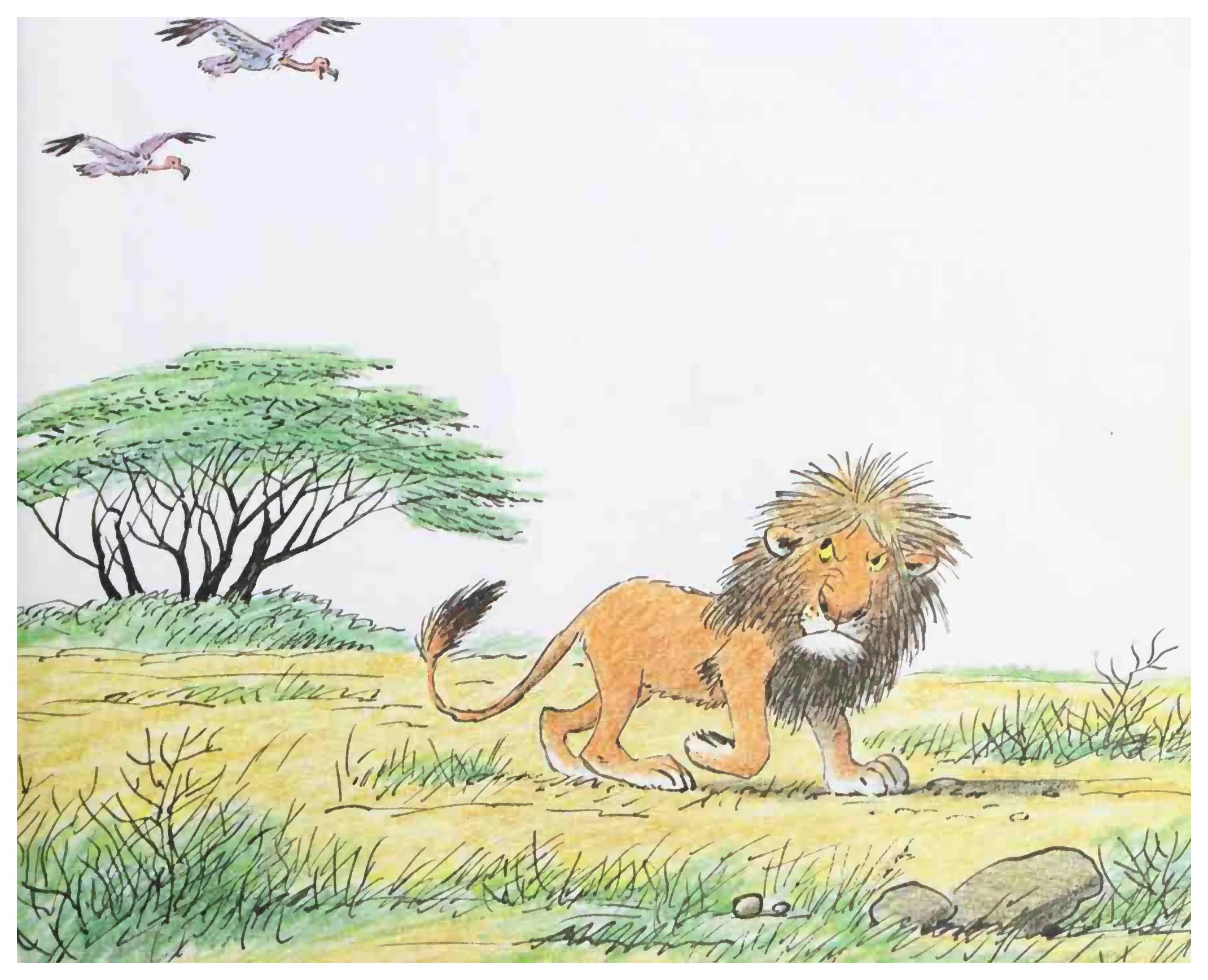 The grateful vultures follow Eli on his morning stroll