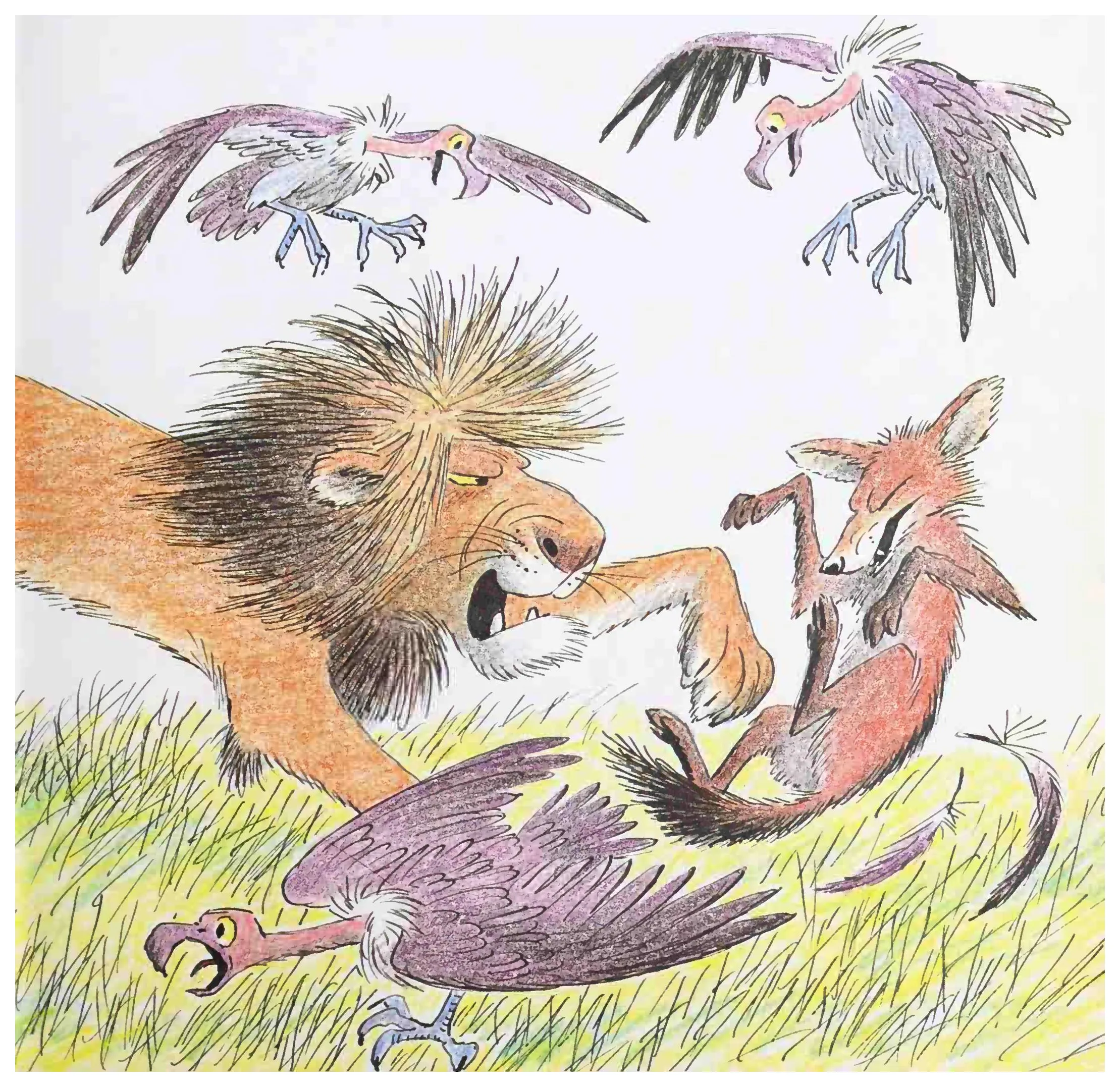 Eli drives off the jackal to save a vulture