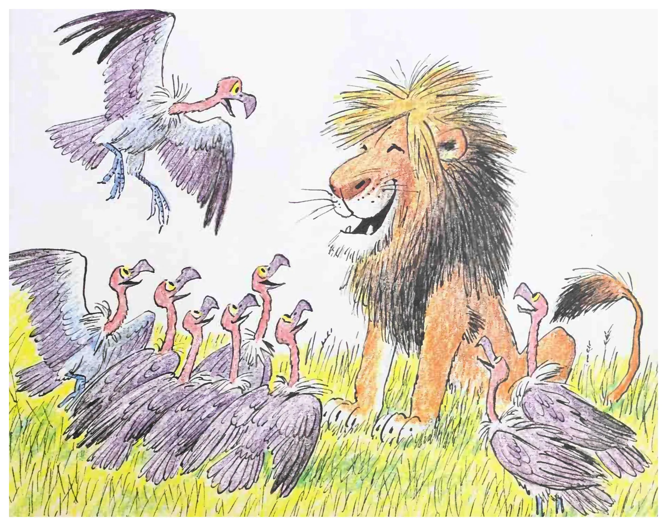 Eli among his devoted flock of vulture friends