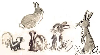 Preliminary sketches for Shady Glade