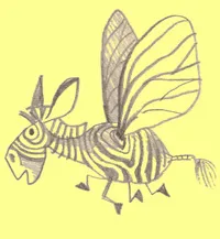 The Zebra Fly: illustration