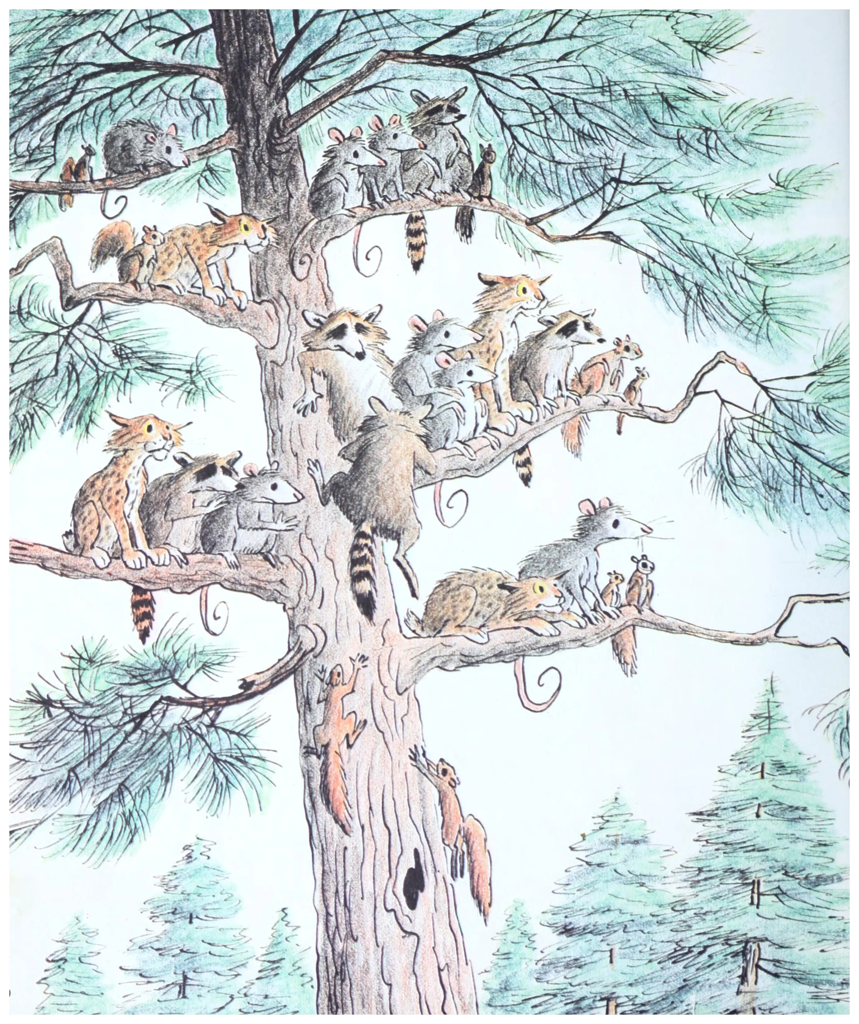The animals crowd every branch of the tall pine