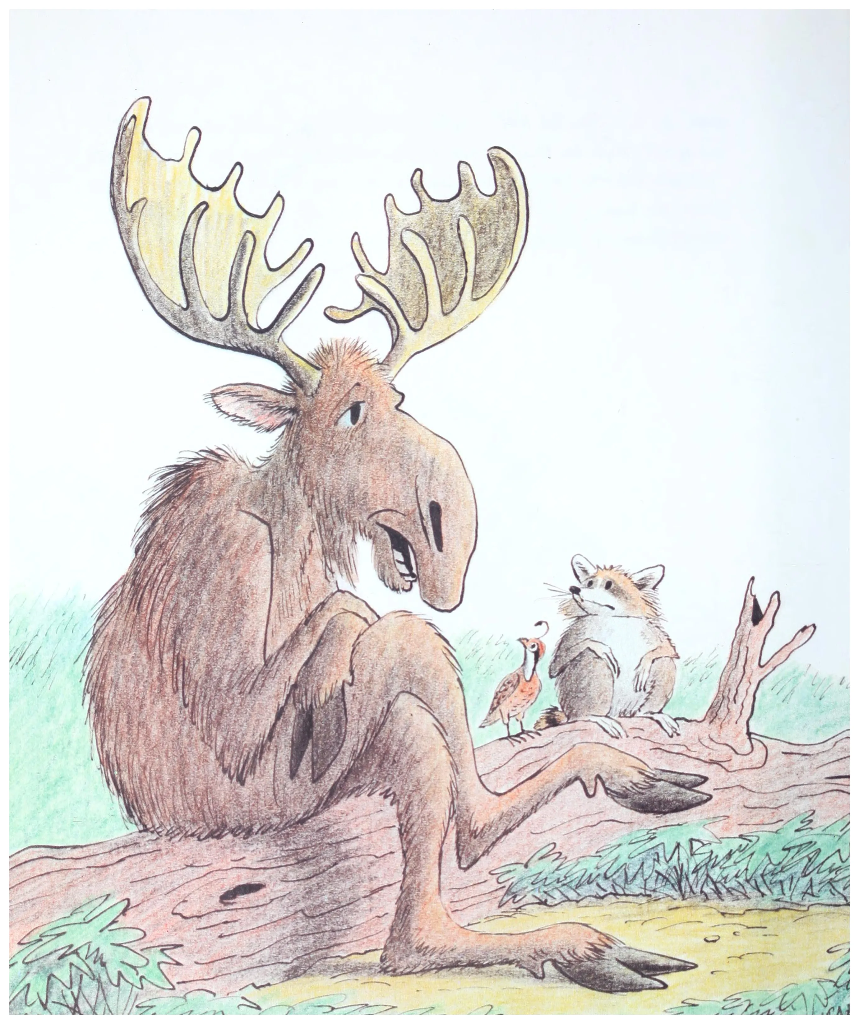 The moose broods with a small bird for company