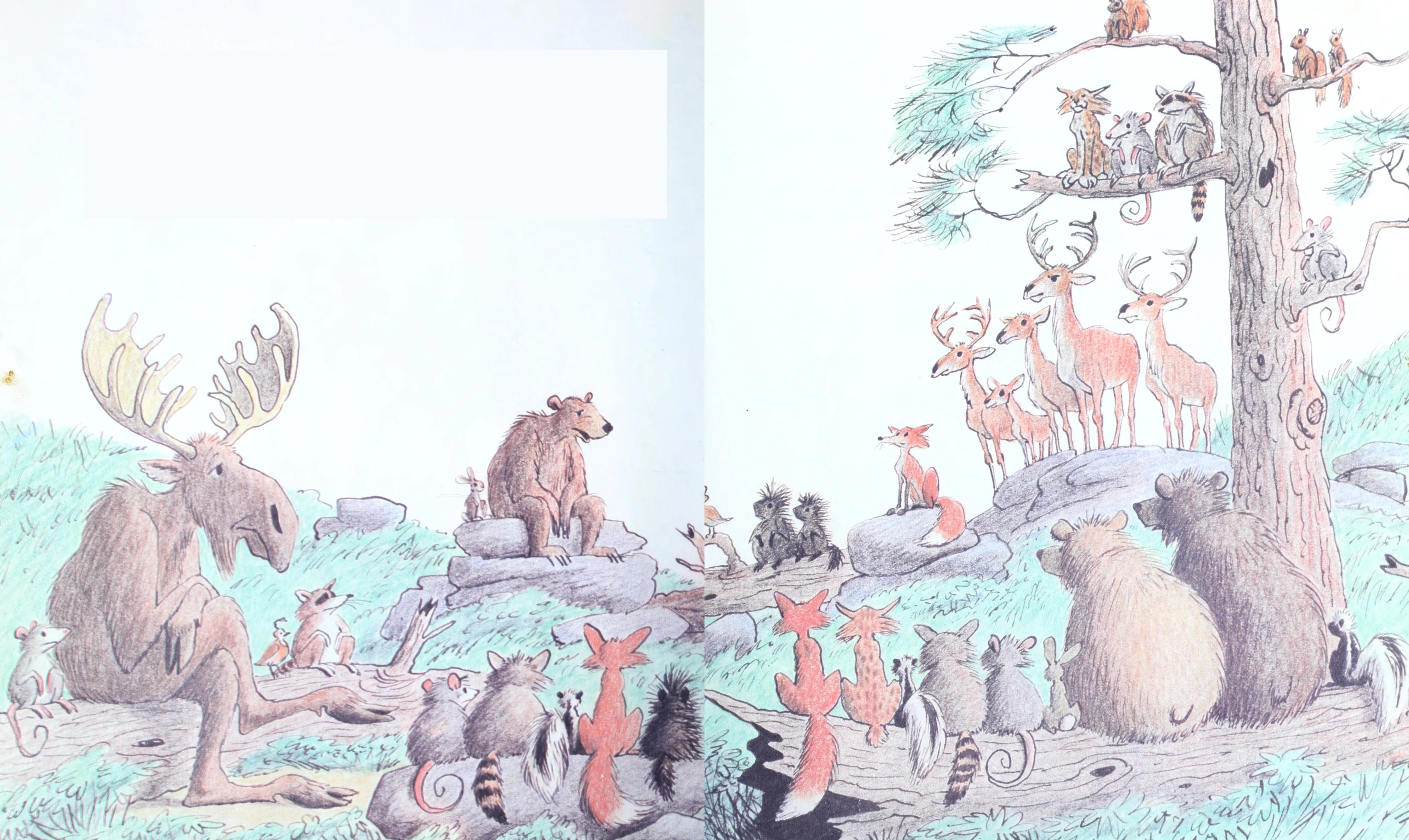 The forest animals gather to outwit the hunters
