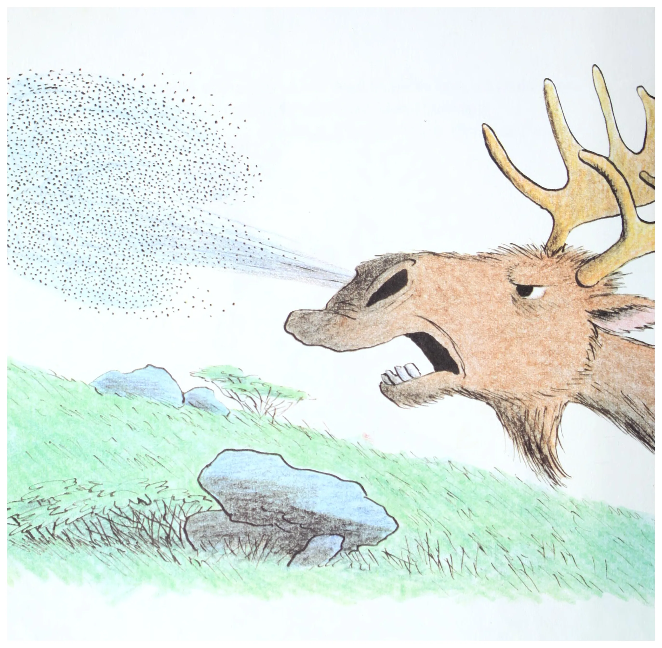 The moose snorts to blast the pesky gnats away