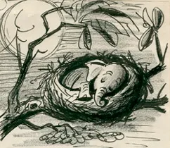 Goliath II in the nest