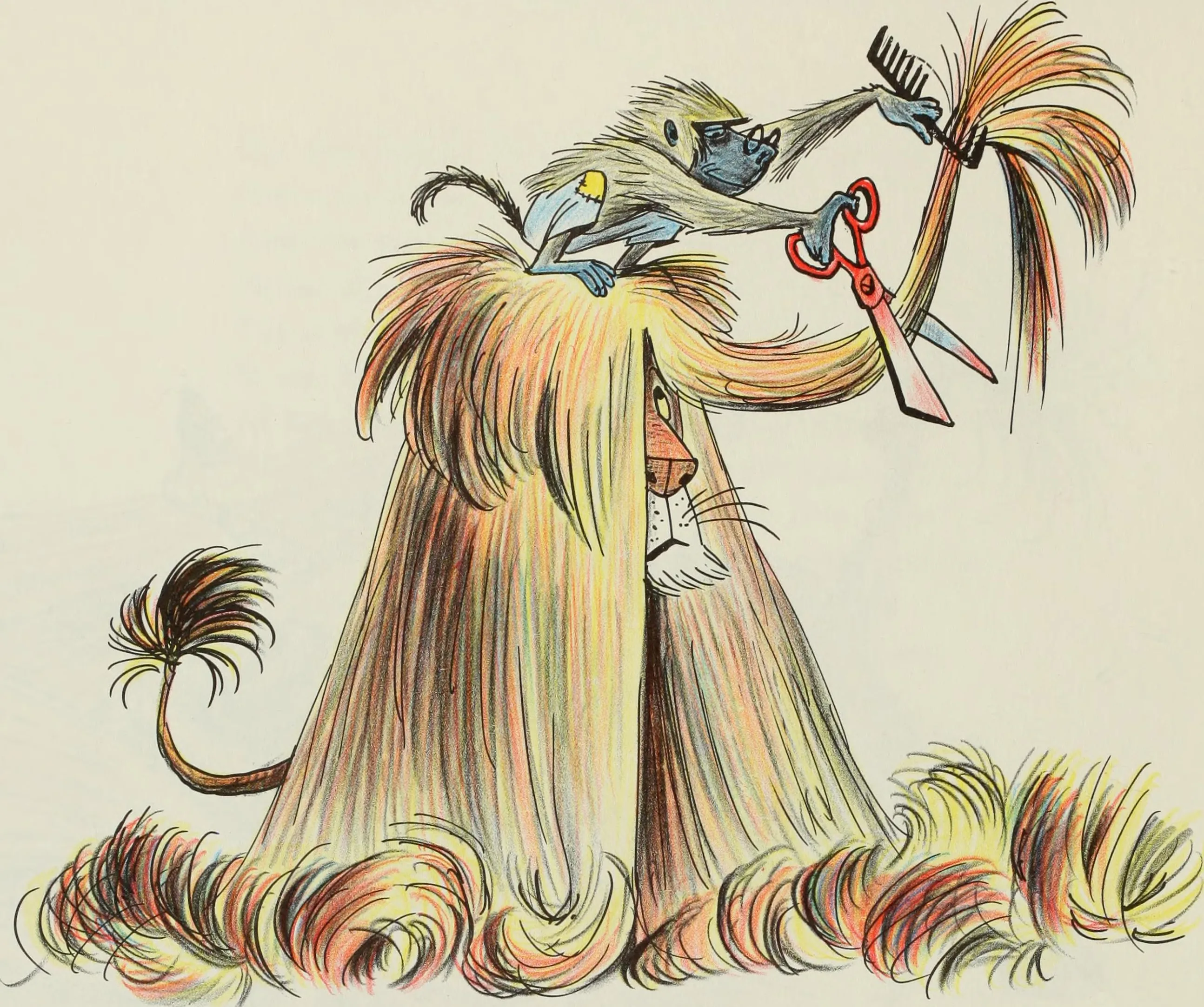 The Barber Baboon clips away Hubert's enormous mane