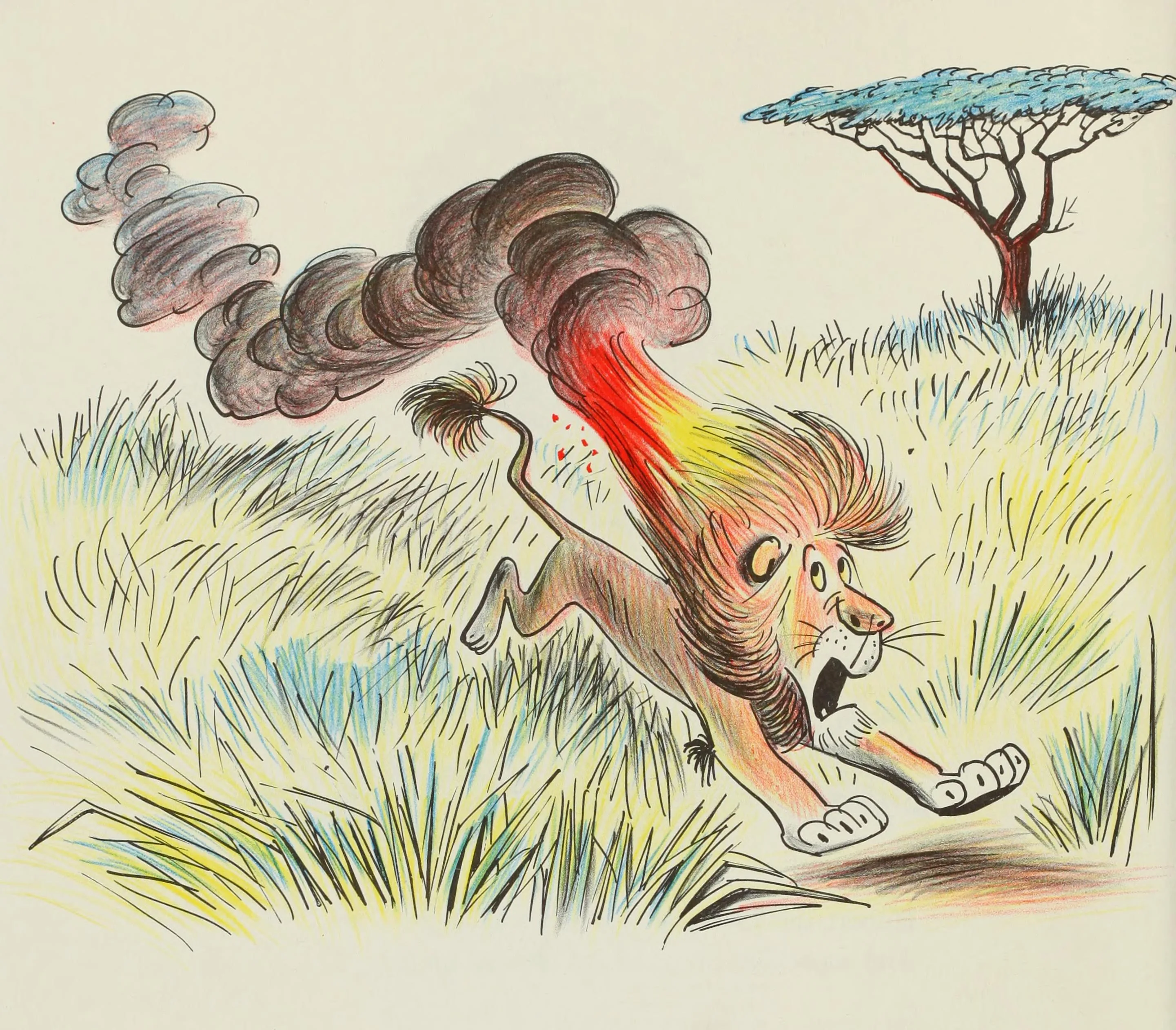 Hubert races for Zamboozi Creek with his mane ablaze