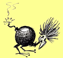 The Kaboom Bird: illustration
