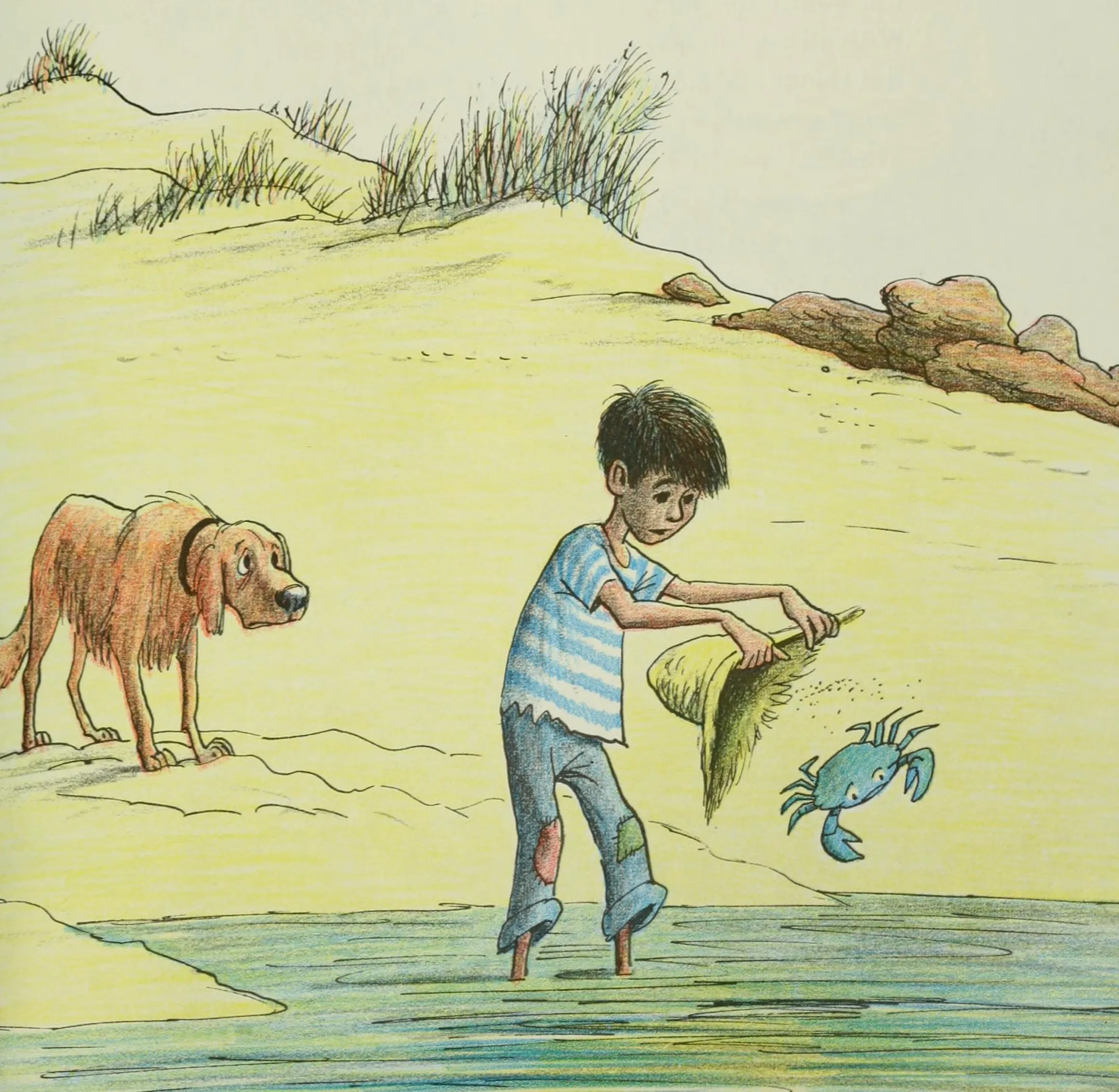 The boy sets old Kermit free at the edge of the sea