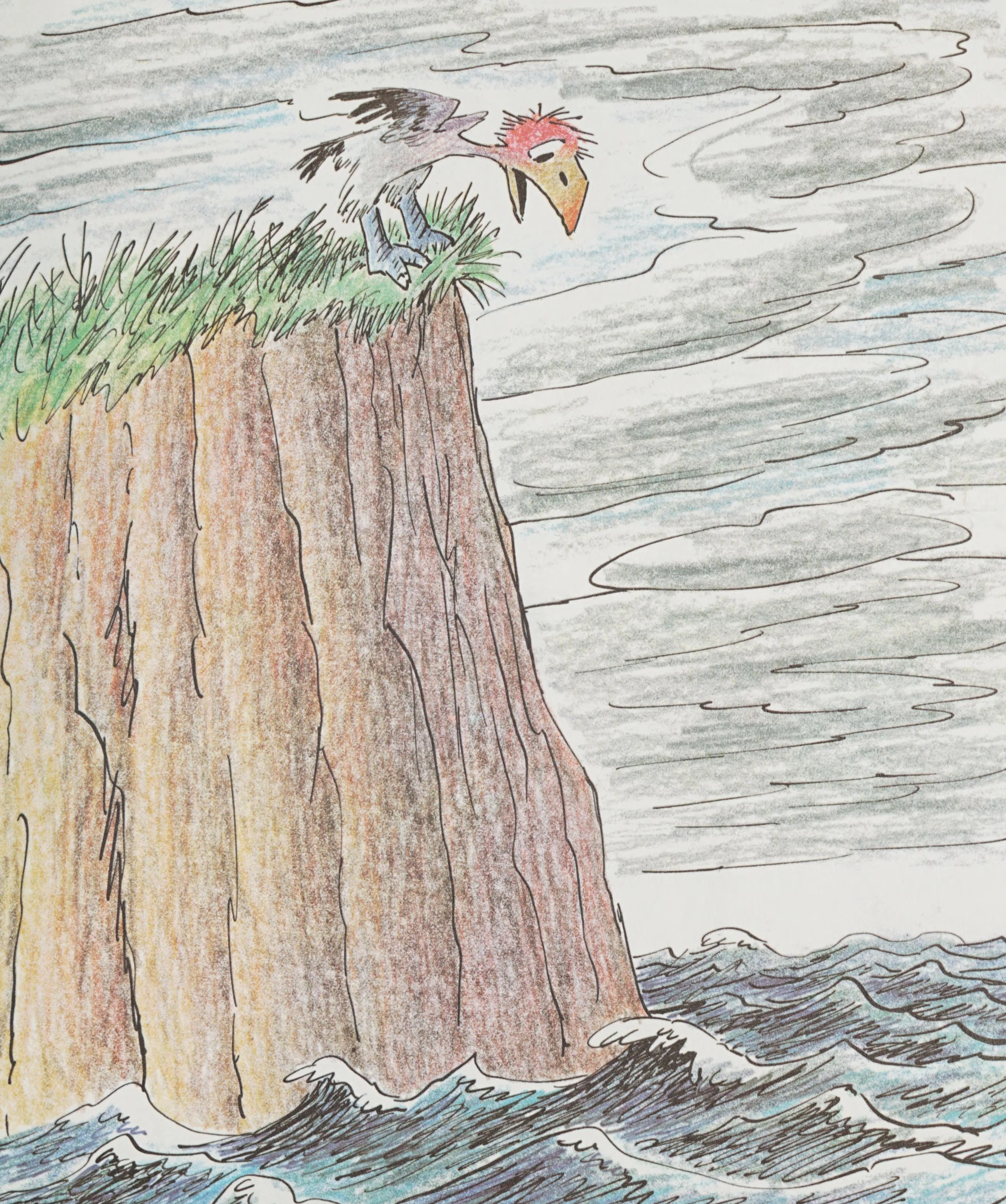 A kweek peers down from the windswept sea cliff