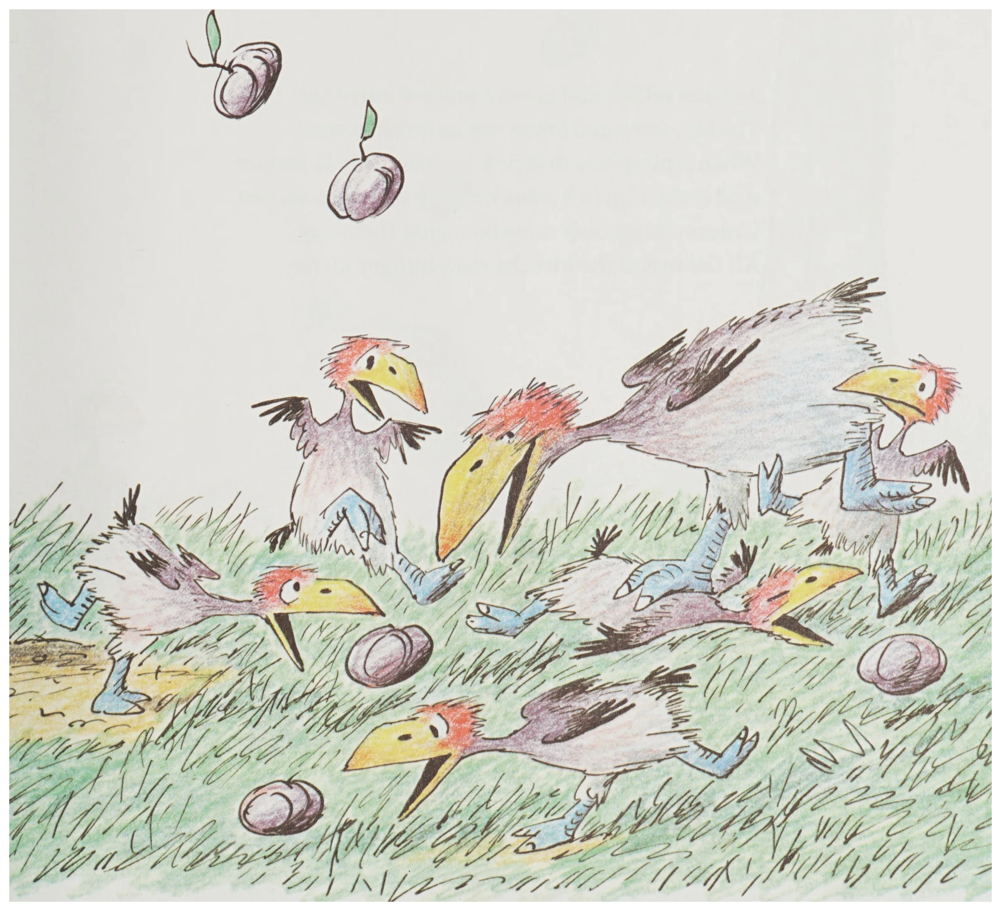 The kweeks scramble and squabble over the fallen fruit