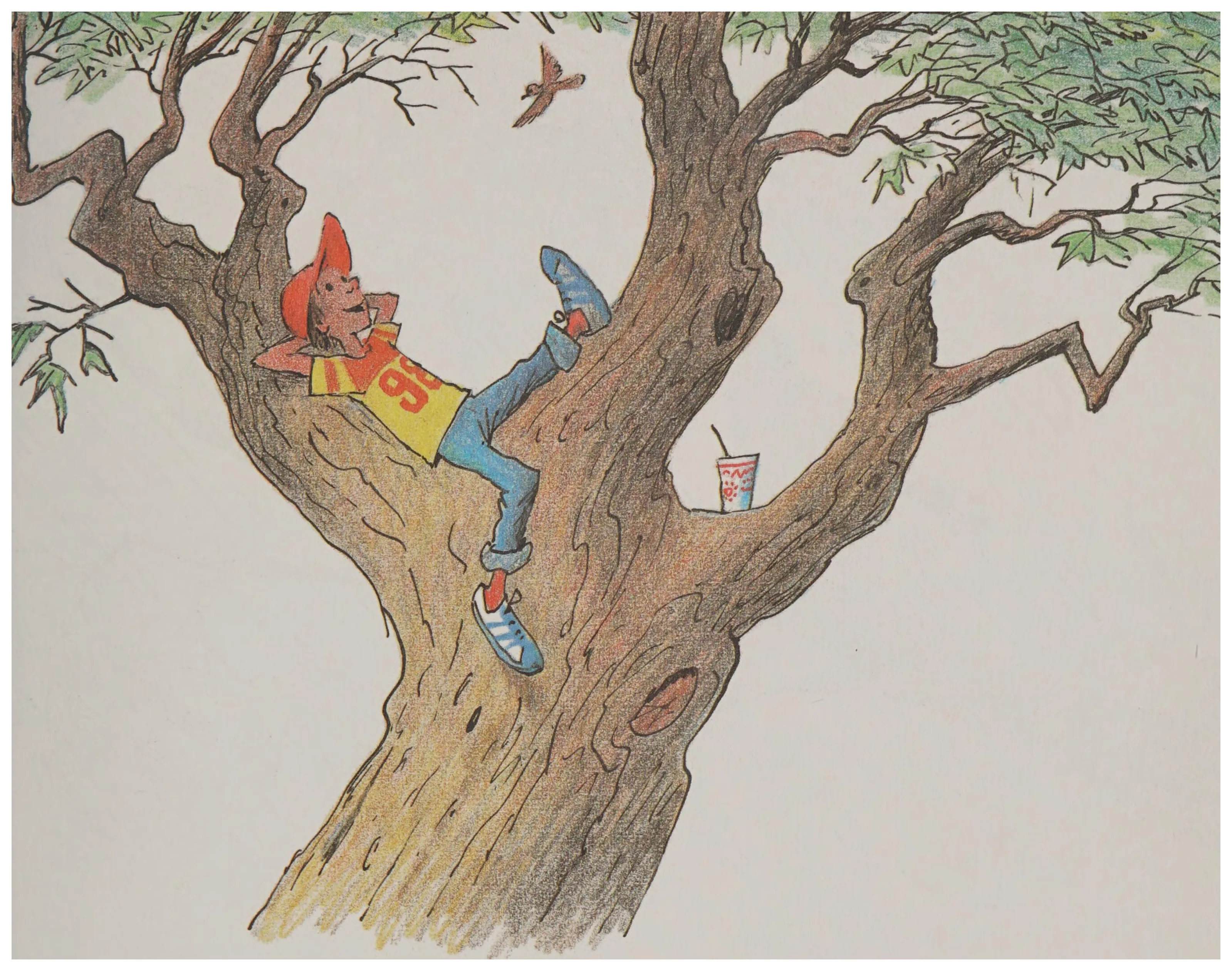 The boy sits in the sycamore tree wishing he were a bird