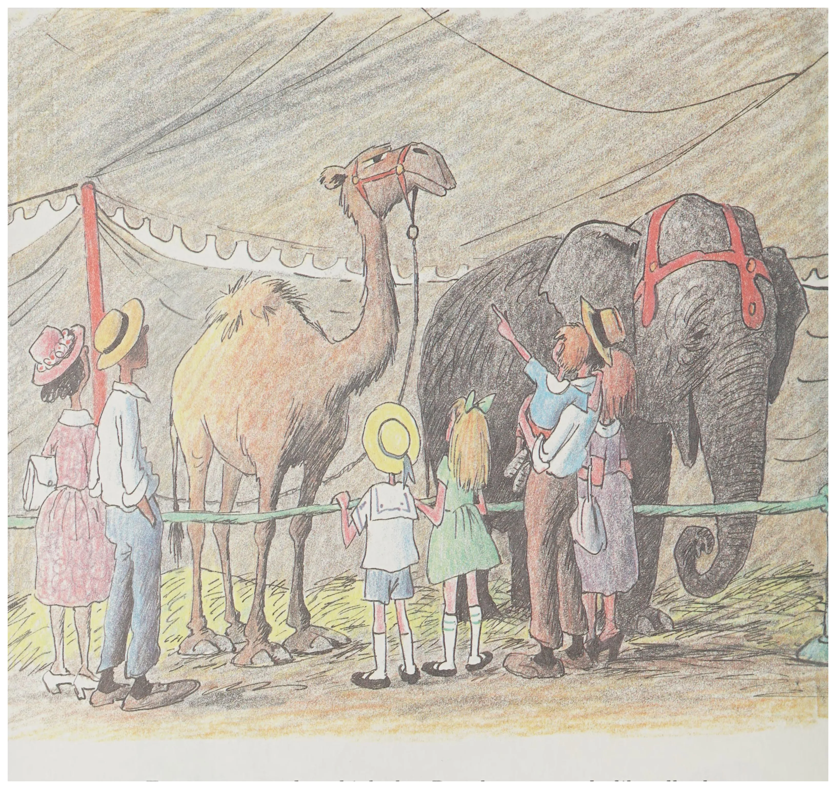 Circus visitors gather to look at Pamela and the elephant