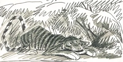 Prewitt and the tiger: illustration