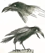 The raven: illustration