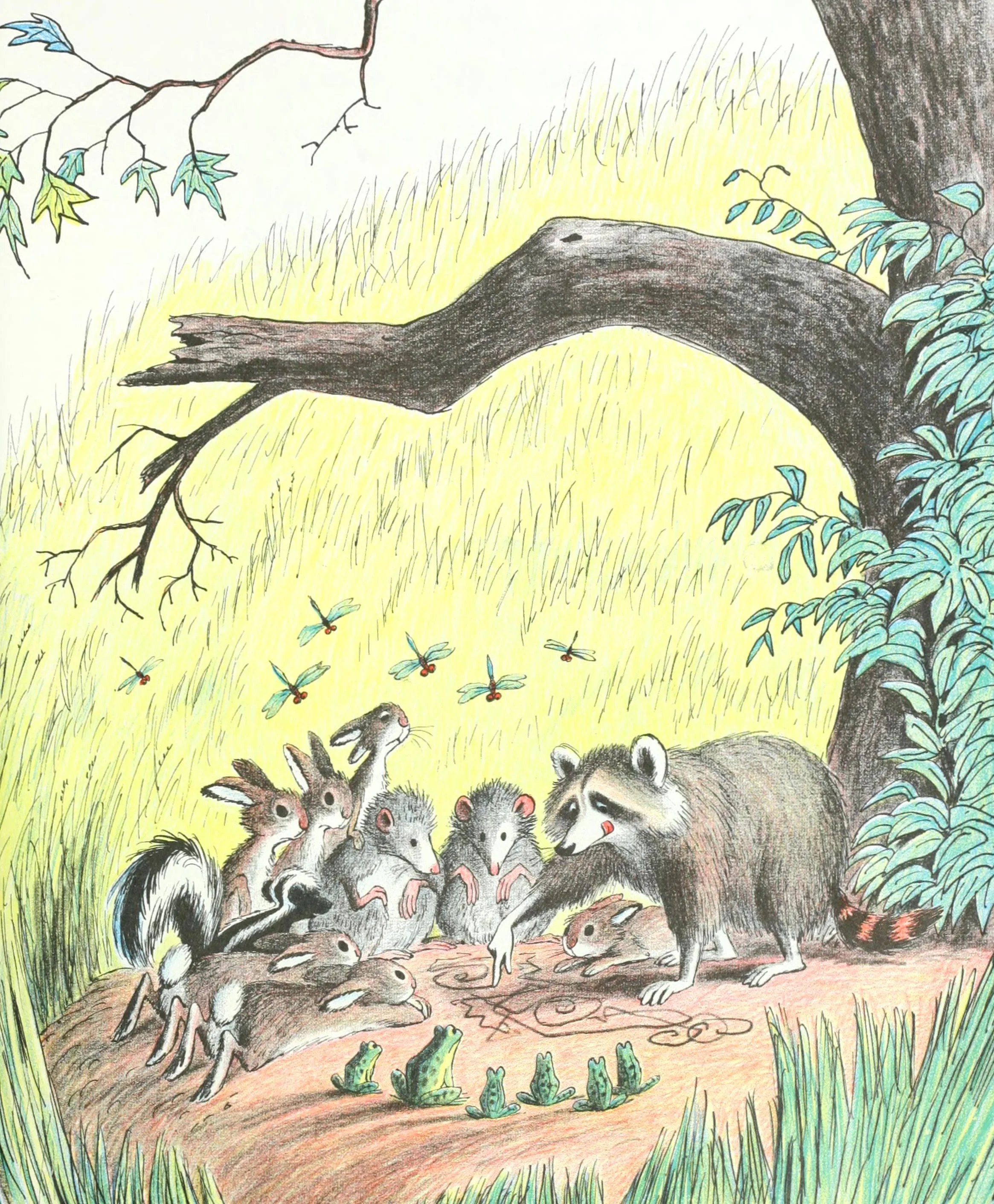 The old raccoon gathers the woodland animals together