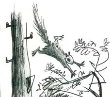 A squirrel in flight: illustration