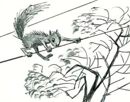 A squirrel on the wire: illustration